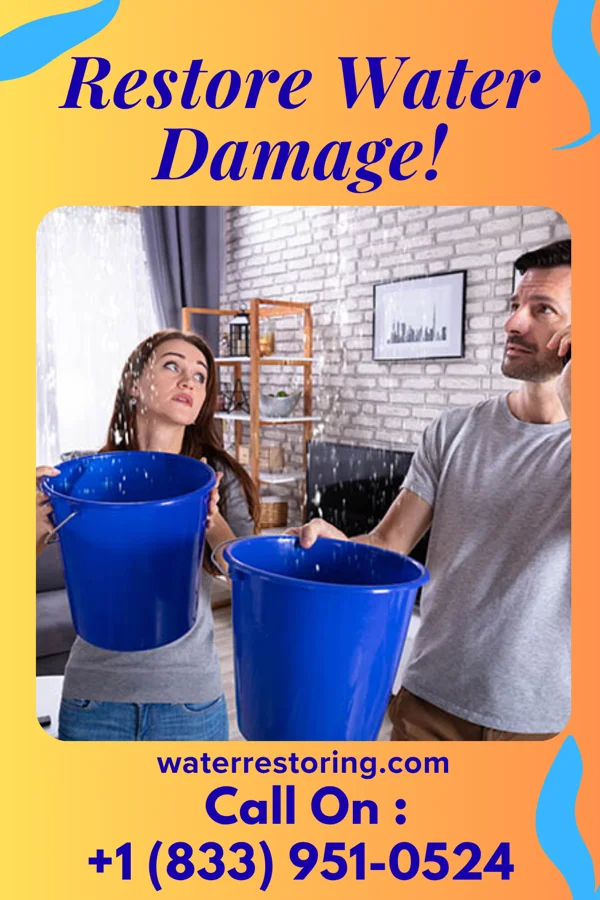 water restoration Complete Extraction Group Oakvale