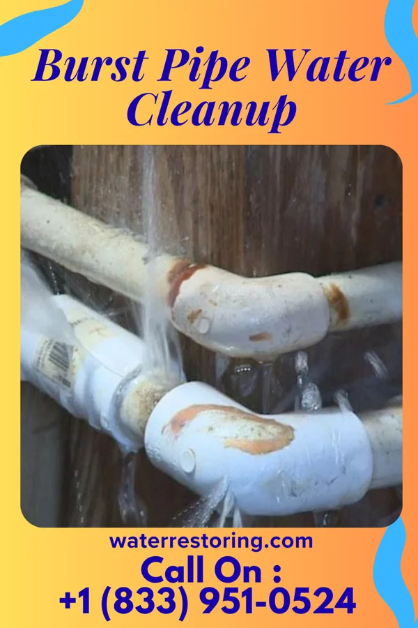 Burst Pipe Water Cleanup in Oakvale, WV