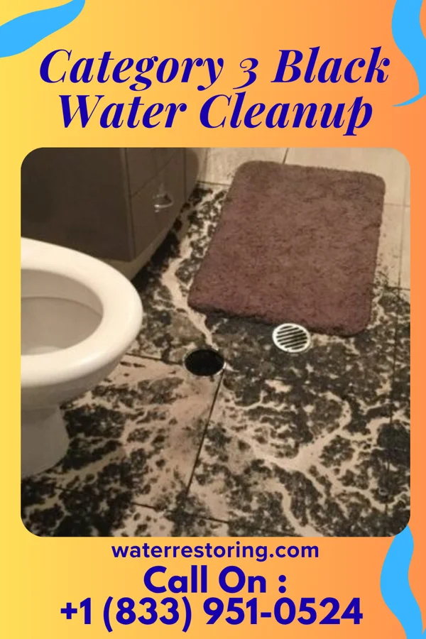 Category 3 Black Water Cleanup in Oakvale, WV