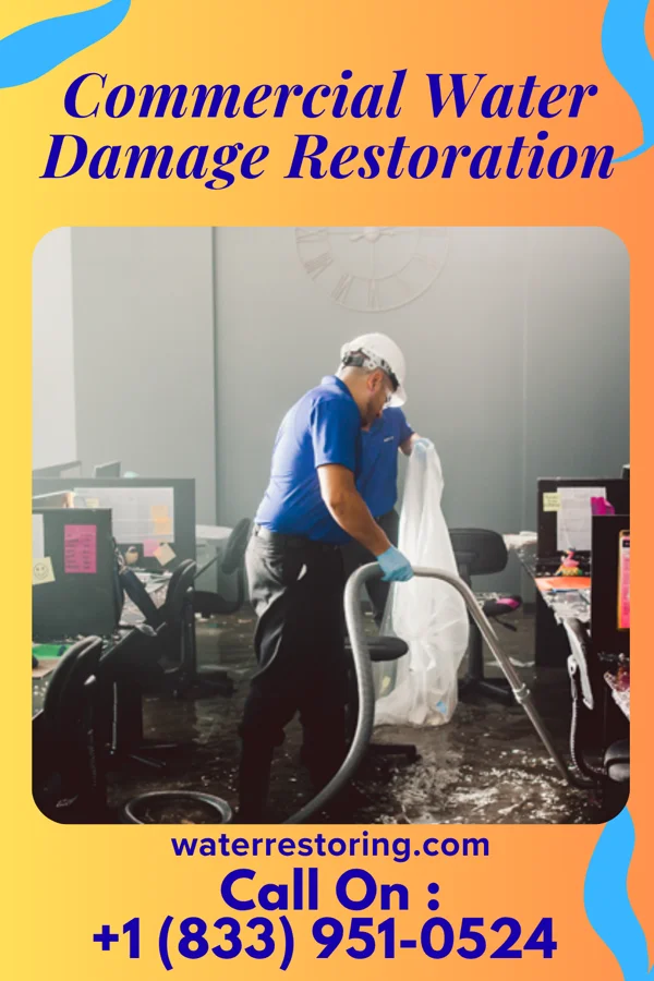 Commercial Water Damage Restoration in Oakvale, WV
