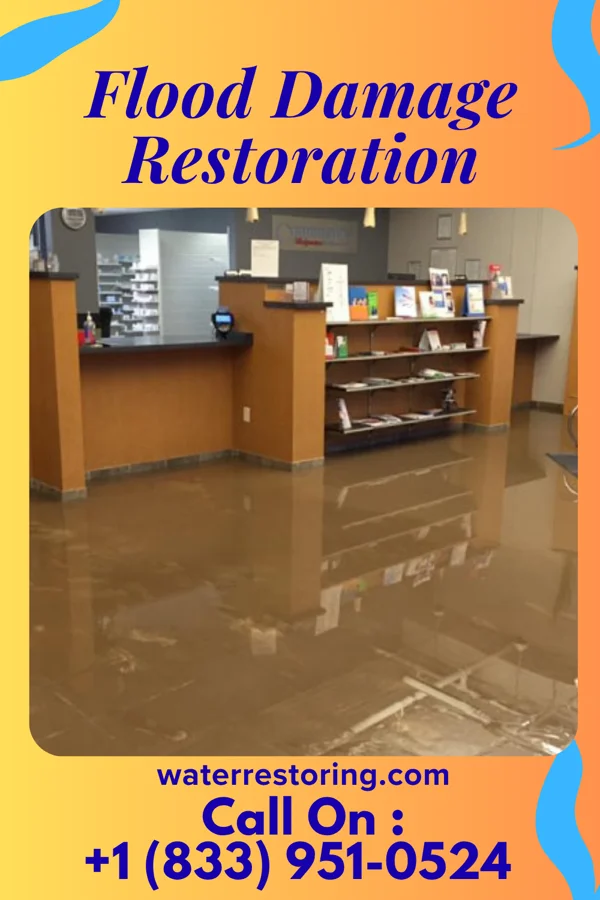Flood Damage Restoration in Oakvale, WV
