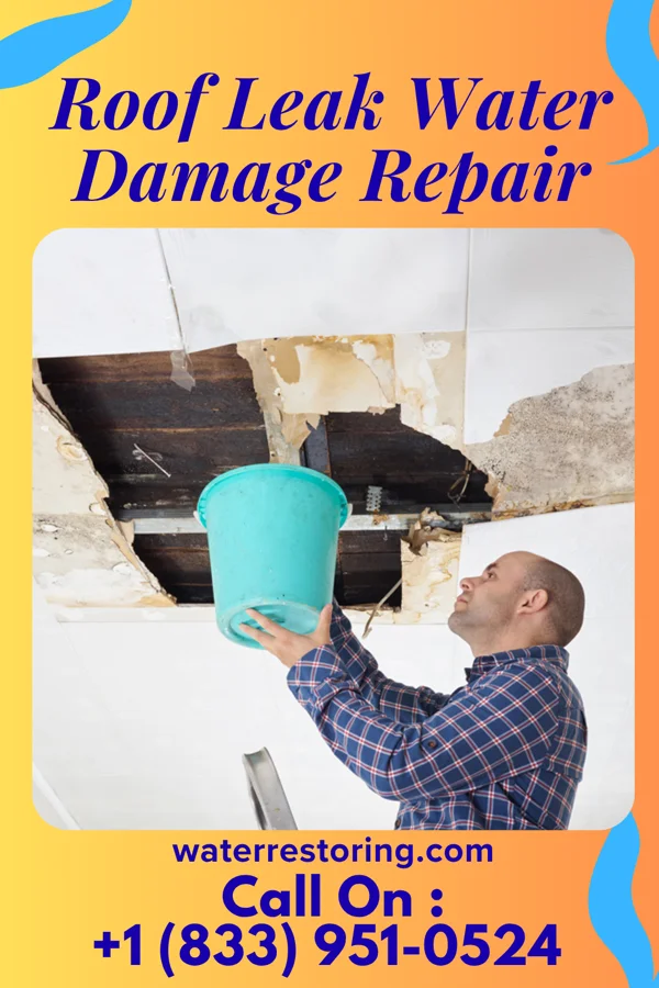 Roof Leak Water Damage Repair in Oakvale, WV