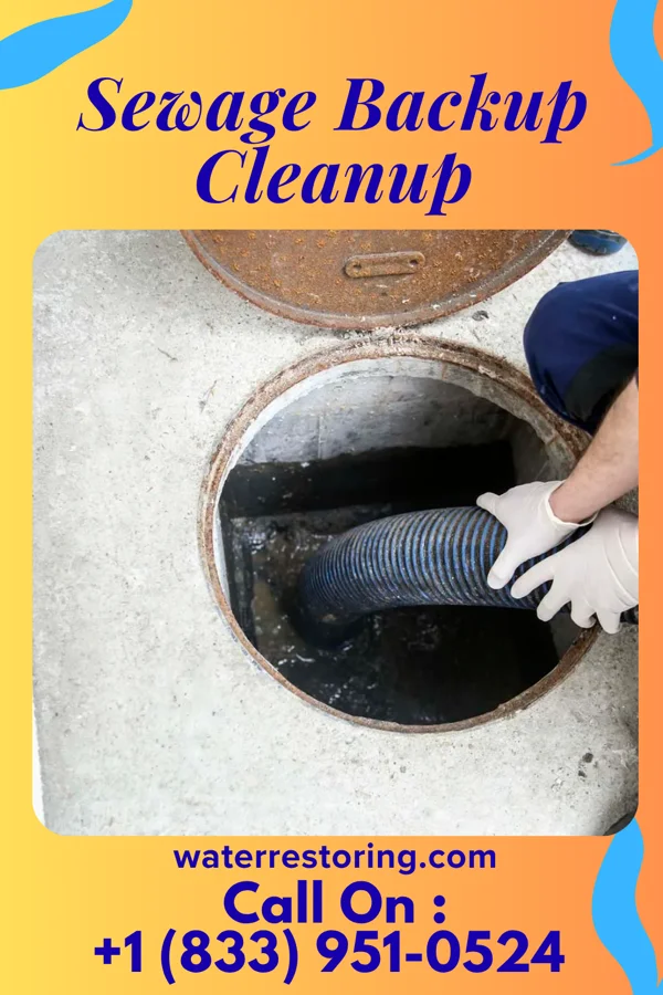 Sewage Backup Cleanup in Oakvale, WV