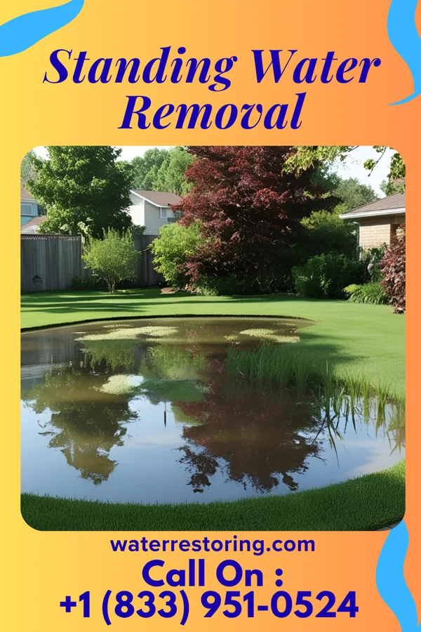 Standing Water Removal in Oakvale, WV